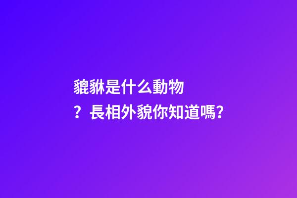 貔貅是什么動物？長相外貌你知道嗎？
